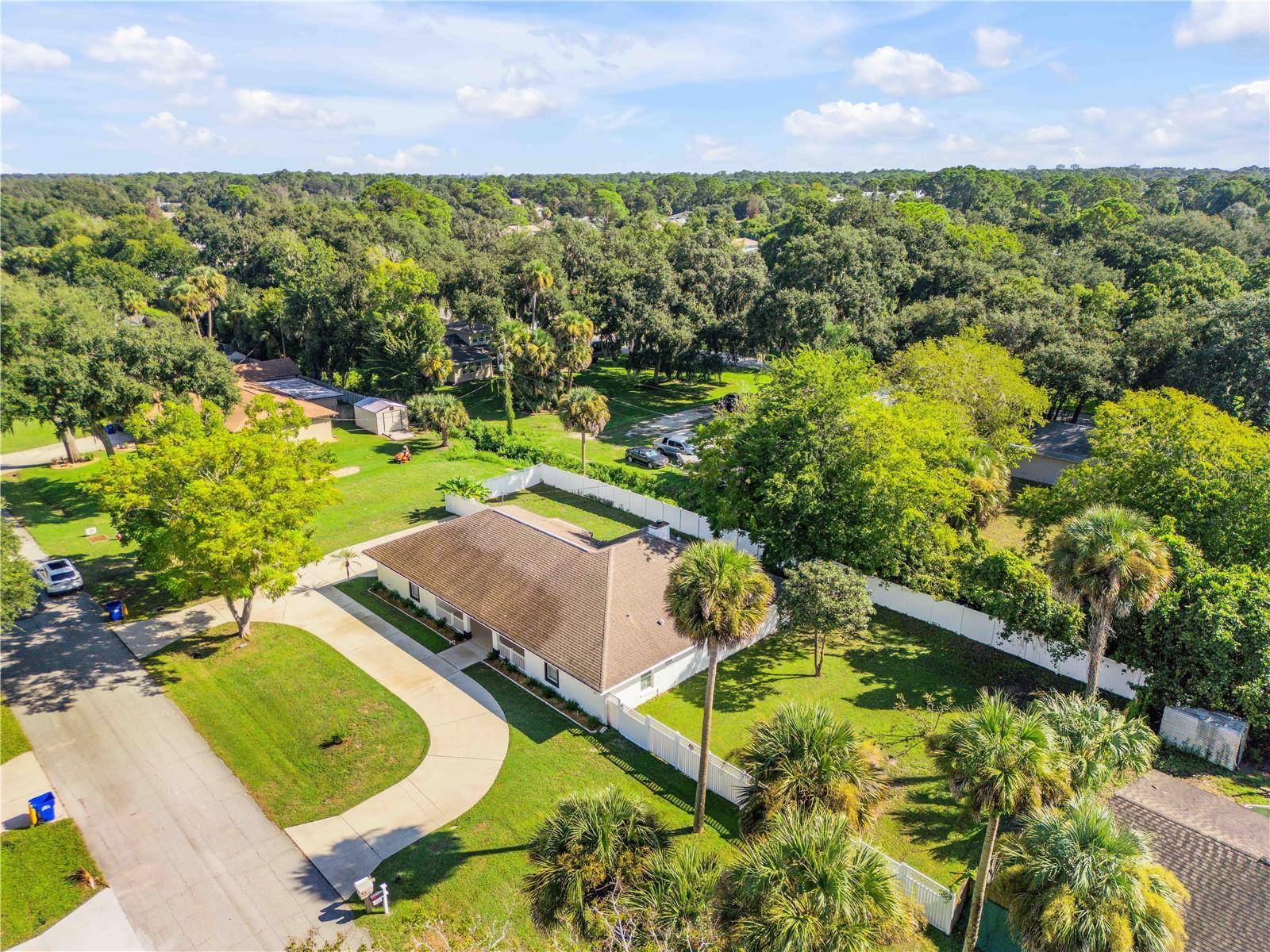 3205 Mango Tree Drive, Edgewater, FL 32141 — photo 2