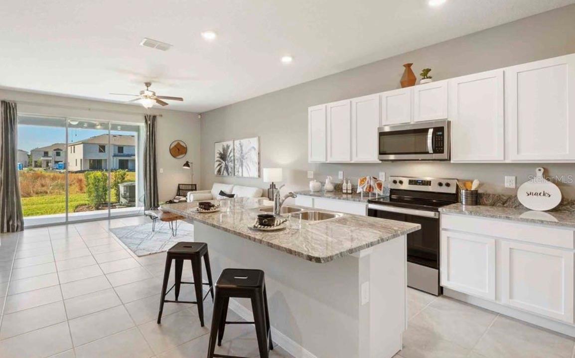 32202 Turtle Grace Loop, Wesley Chapel, FL 33545 — photo 3