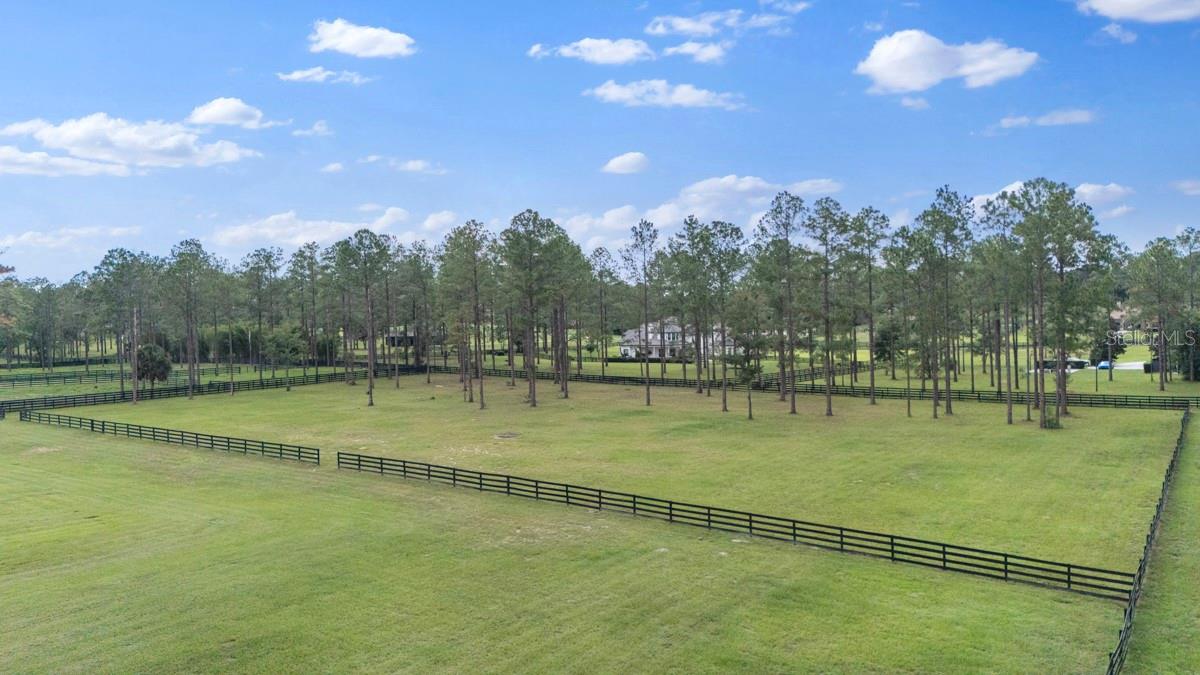 23741 Ridge Link Road, Eustis, FL 32736 — photo 3