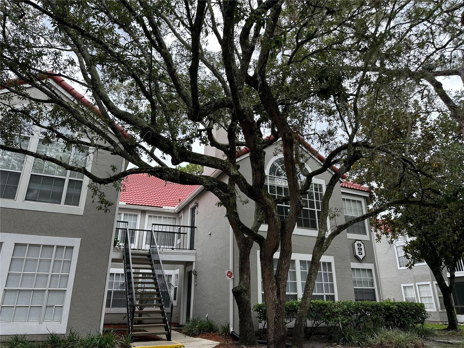 995 Northern Dancer Way #201 — photo