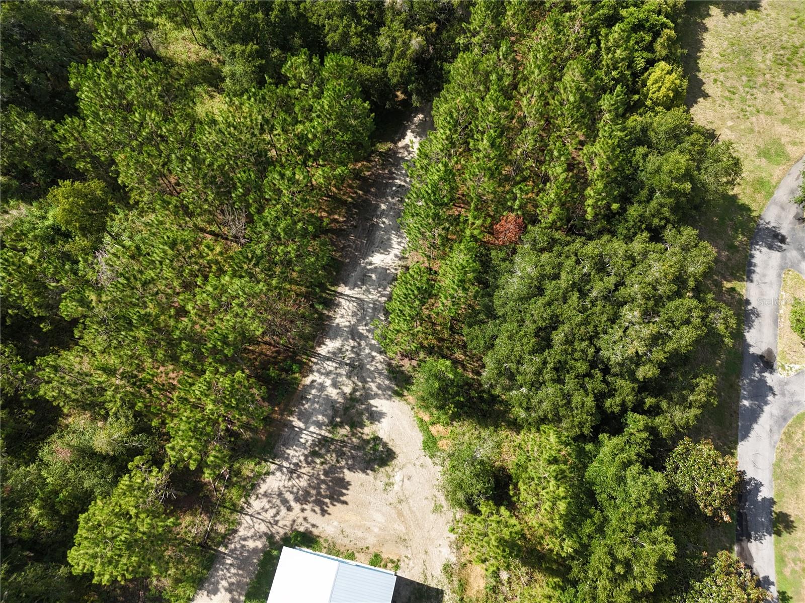 00 E County Road 44a, Eustis, FL 32726 — photo 3