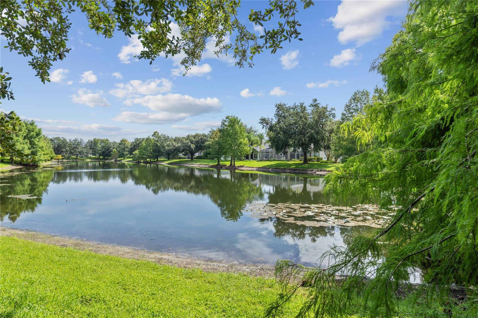 6243 Andreozzi Lane, Windermere, FL 34786 — photo 3