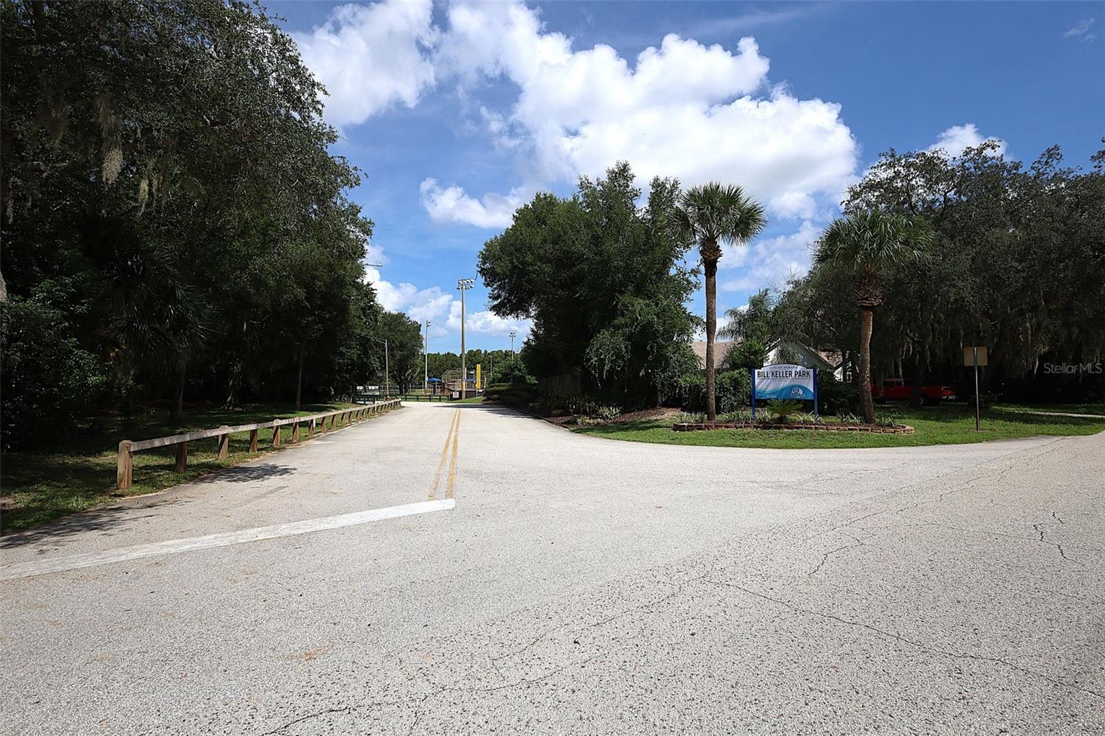 339 Colomba Road, Debary, FL 32713 — photo 3