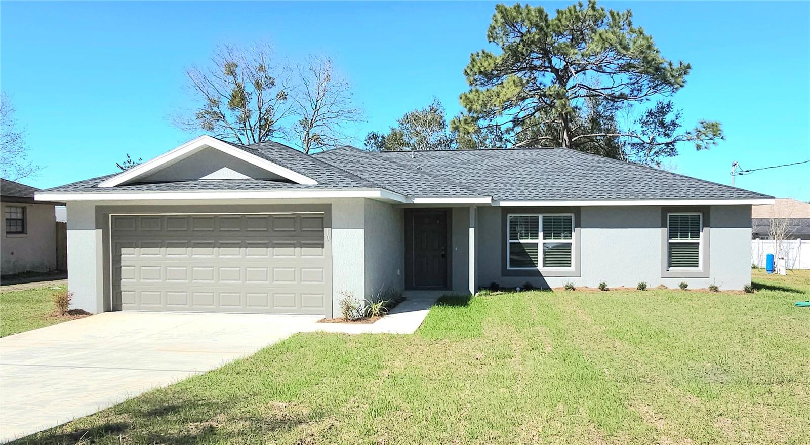 10 Pine Radl — photo
