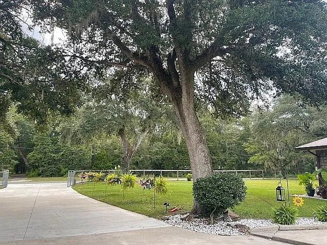 9068 131st Loop, Live Oak, FL 32060 — photo 3