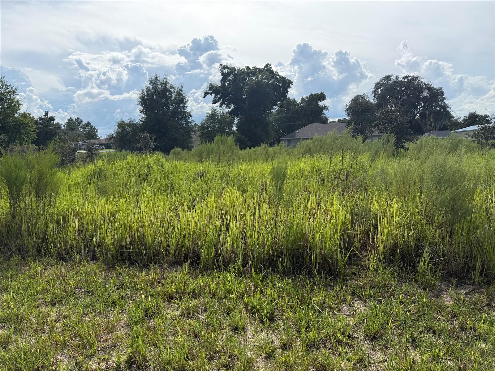 Tbd Locust Pass Loop, Ocala, FL 34472 — photo 2