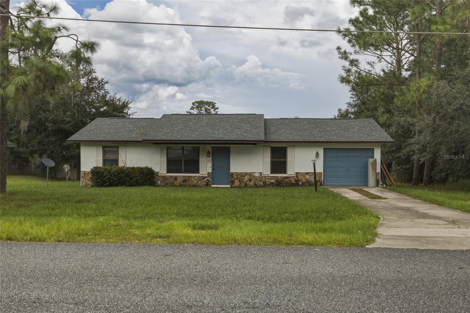 65 Pine Trce — photo