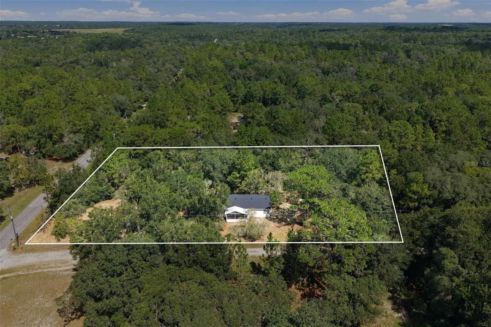 293 E Shawna Court, Hernando, FL 34442 — photo 3