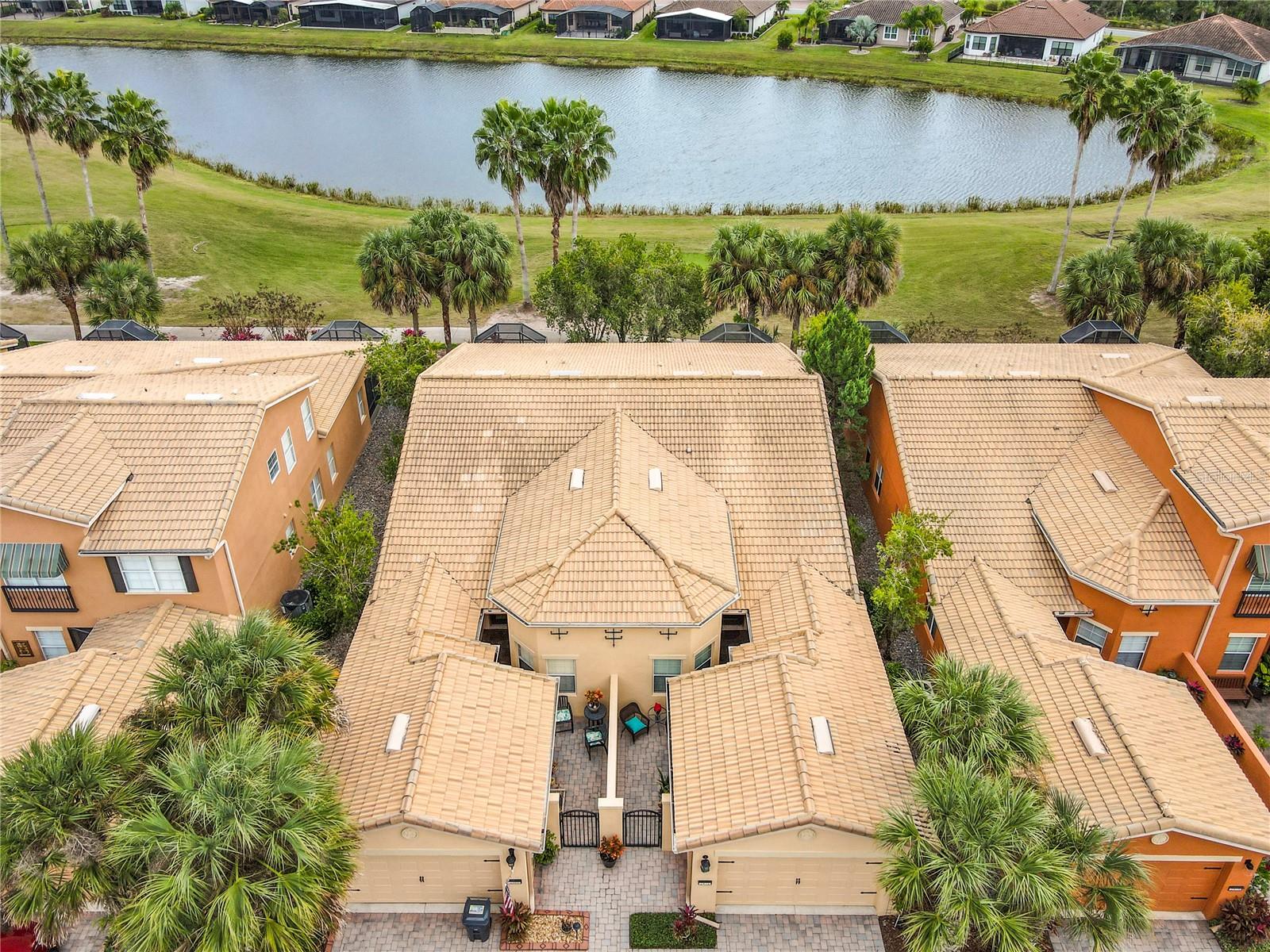 2472 Palm Tree Dr — photo