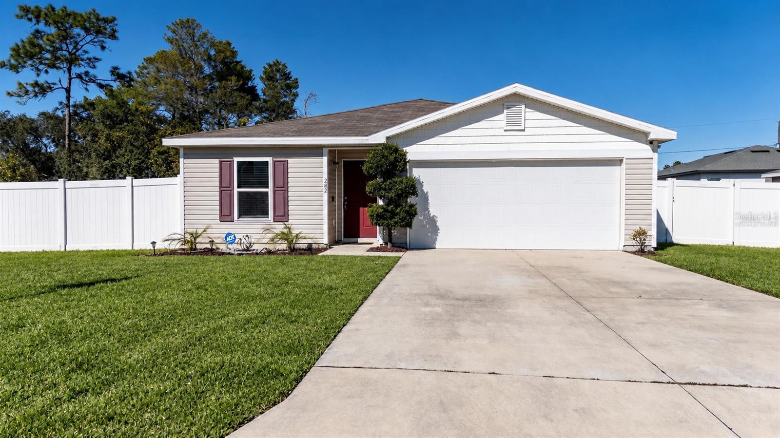 282 Fig Ct — photo