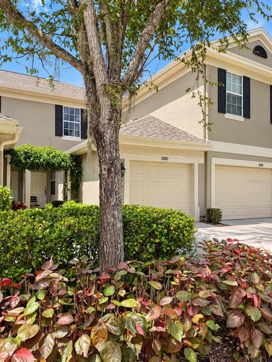 11180 Windsor Place Cir — photo