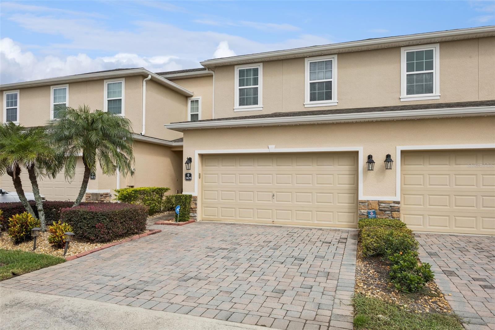 1029 Wood CV — photo