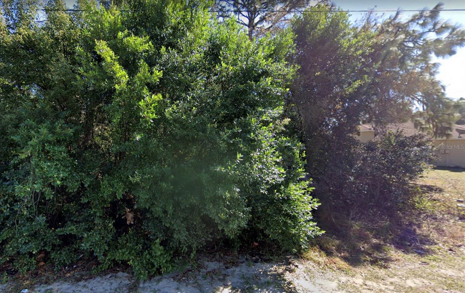 4436 Azora Road, Spring Hill, FL 34608 — photo 3