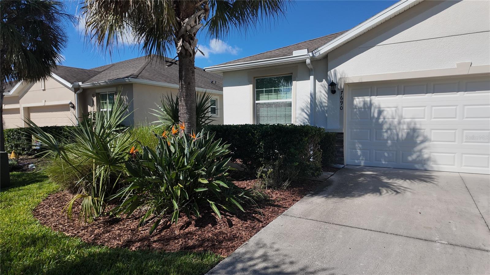 7690 Timberview Loop, Wesley Chapel, FL 33545 — photo 2
