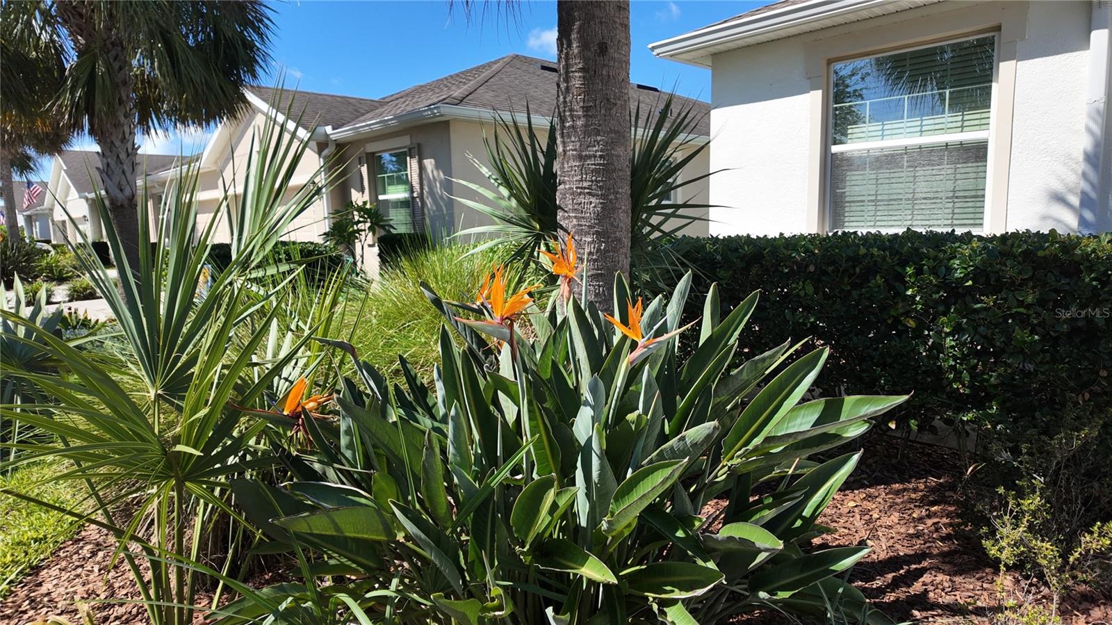 7690 Timberview Loop, Wesley Chapel, FL 33545 — photo 3