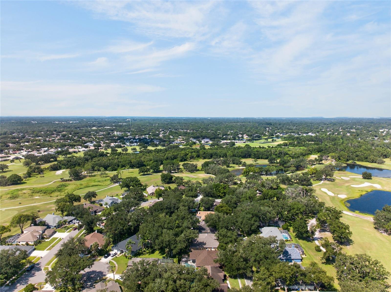 2243 Eagle Bluff Drive, Valrico, FL 33596 — photo 2