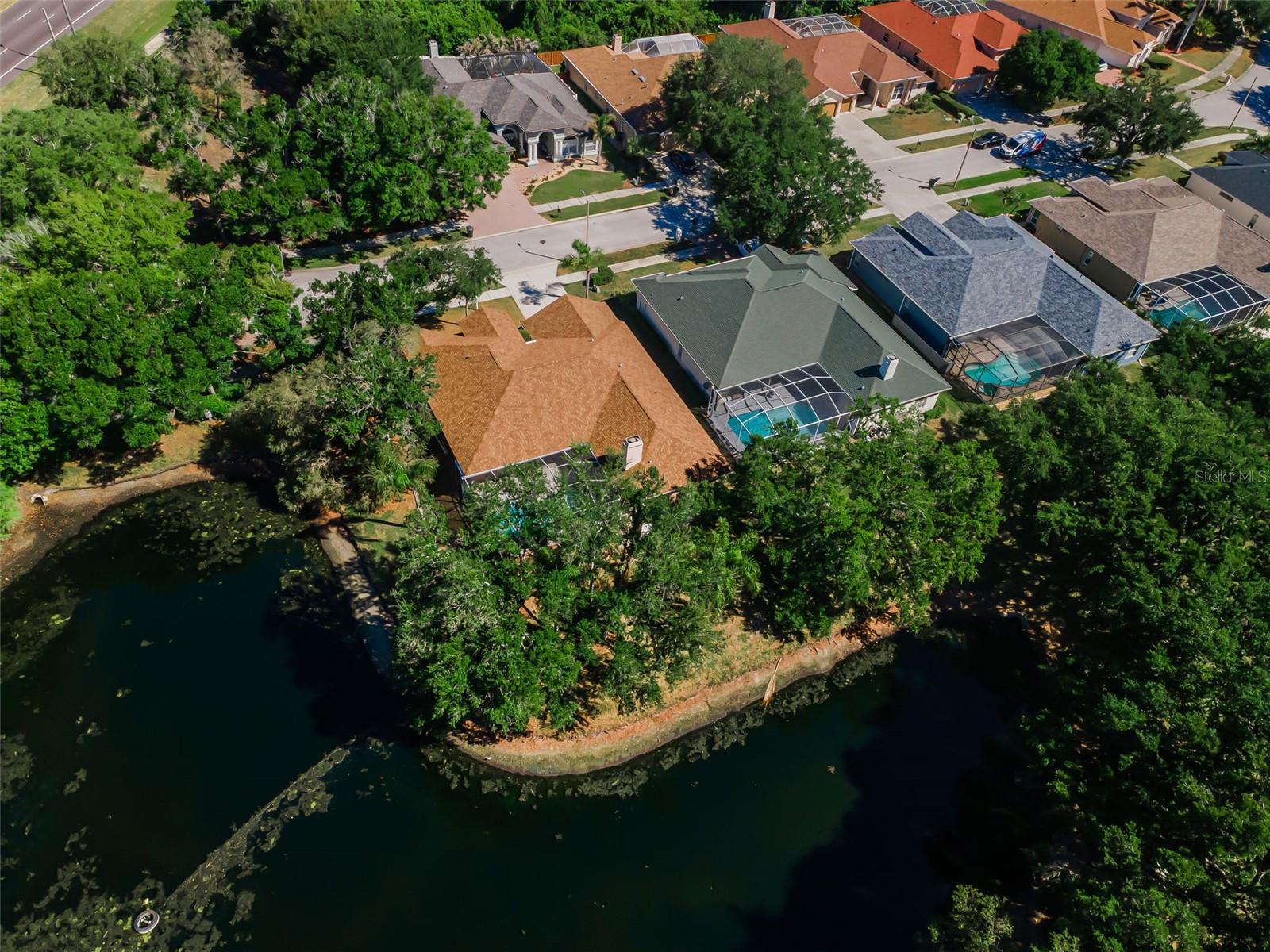 1802 Oak Ridge Road, Safety Harbor, FL 34695 — photo 2