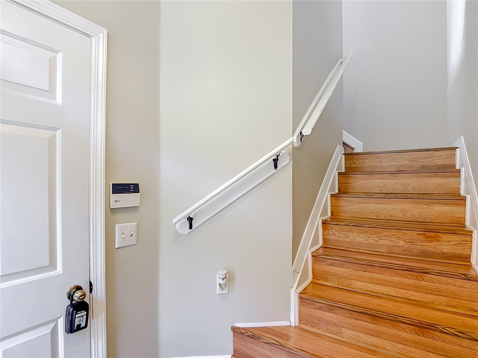 27901 Pleasure Ride Loop, Wesley Chapel, FL 33544 — photo 3