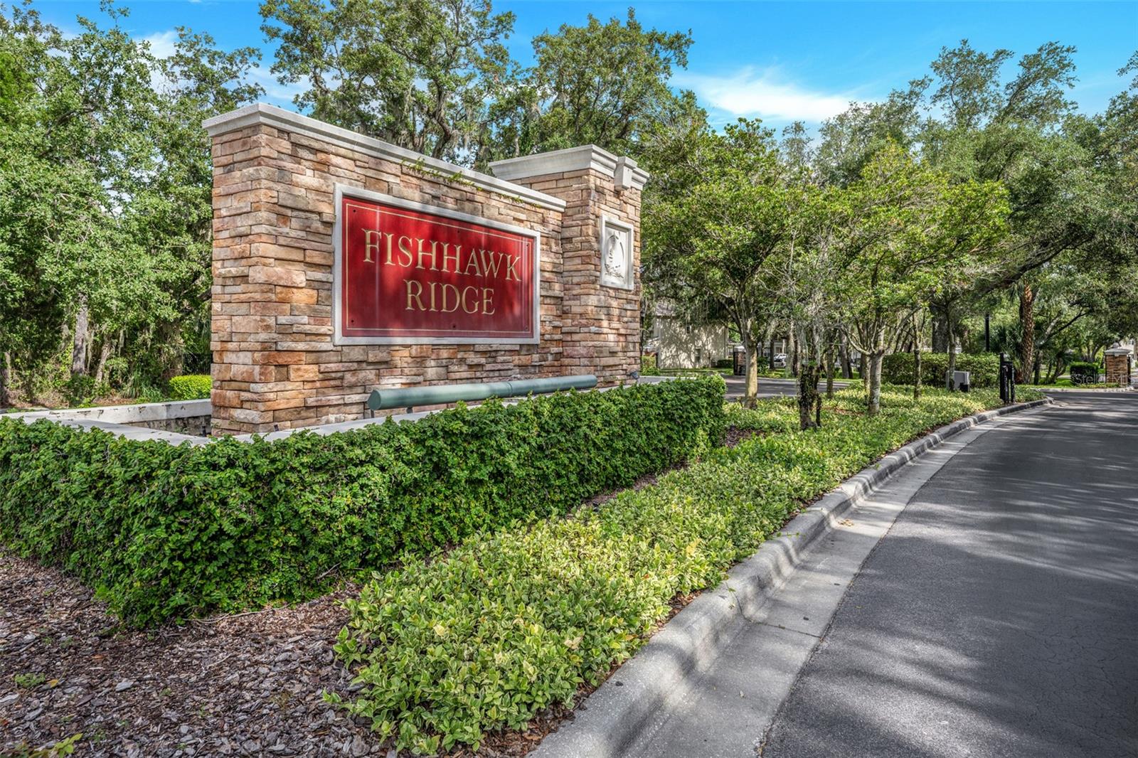 5842 Fishhawk Ridge Drive, Lithia, FL 33547 — photo 3