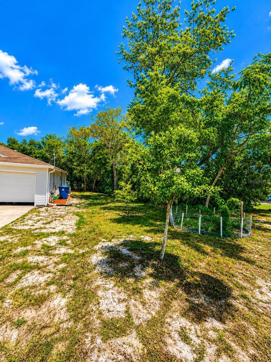 1490 Piper Road, Spring Hill, FL 34606 — photo 3