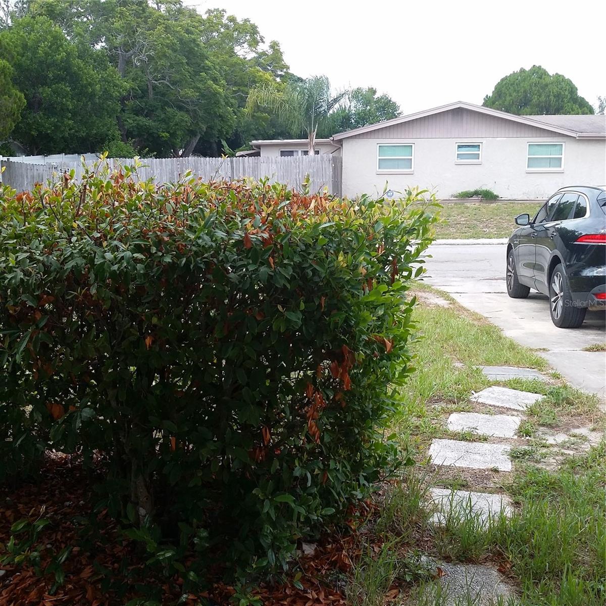 7725 Rottingham Road, Port Richey, FL 34668 — photo 3