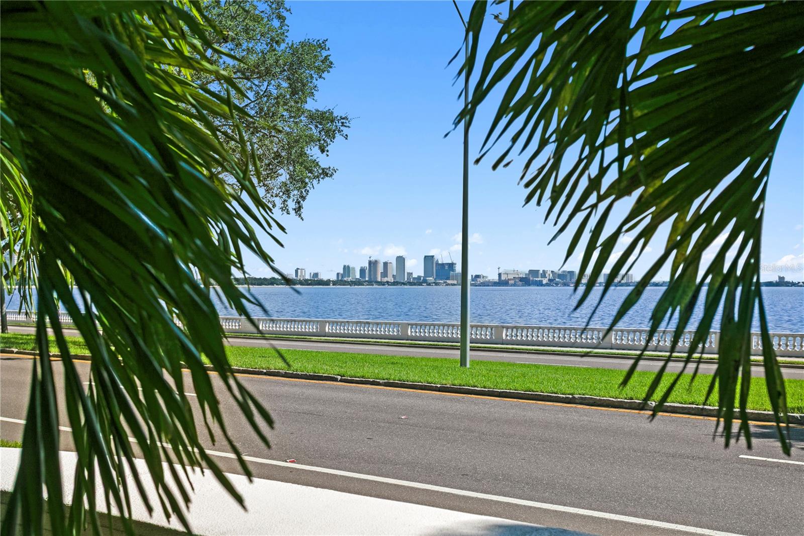 3507 Bayshore Blvd #102 — photo