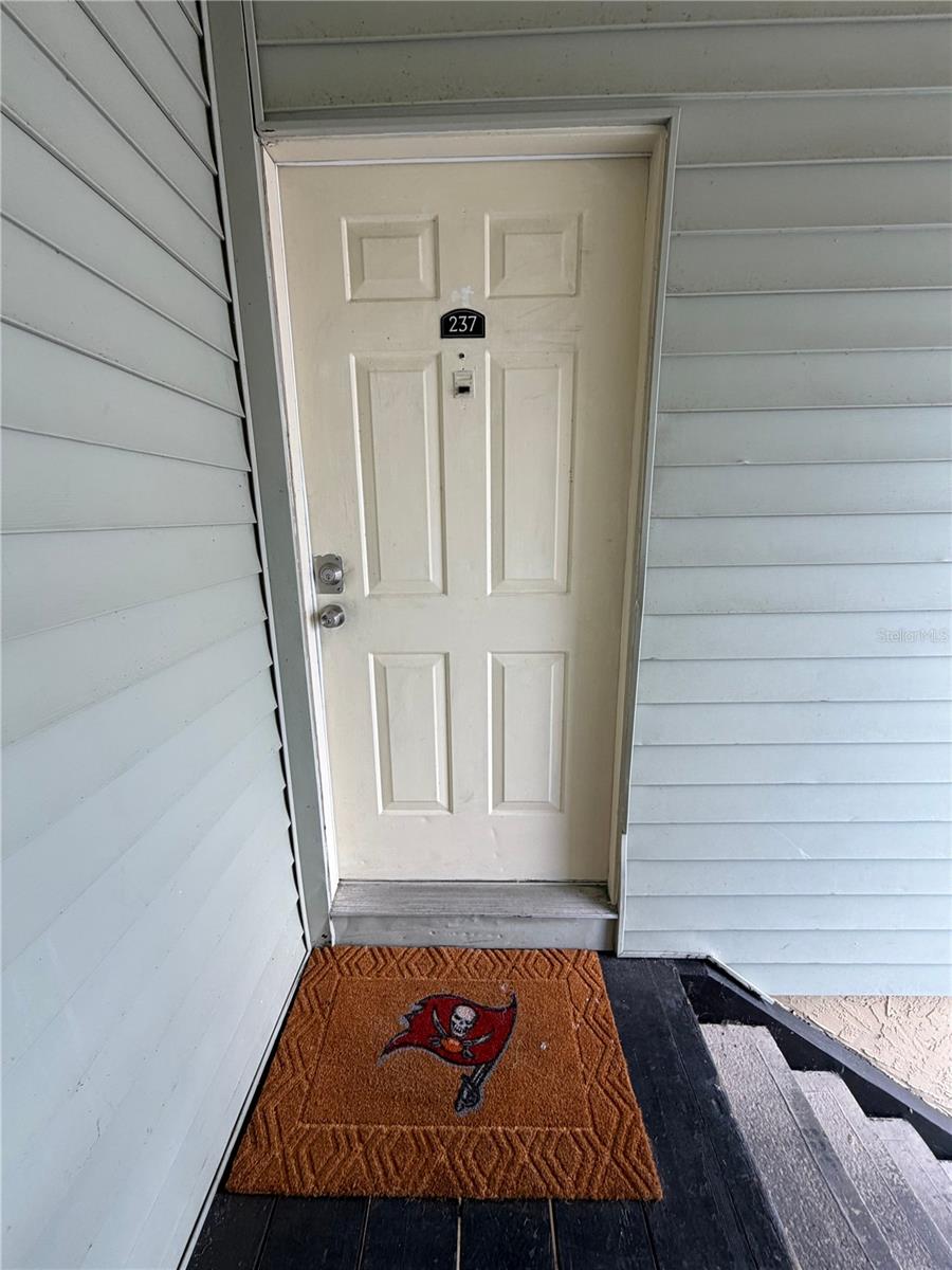 237 Red Maple Place, Brandon, FL 33510 — photo 3