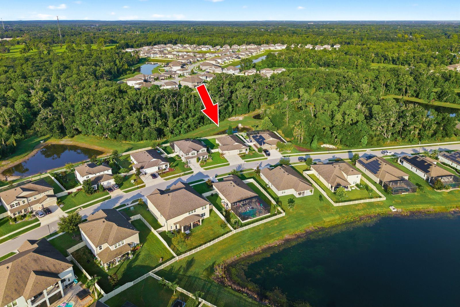 18624 Malinche Loop, Spring Hill, FL 34610 — photo 2