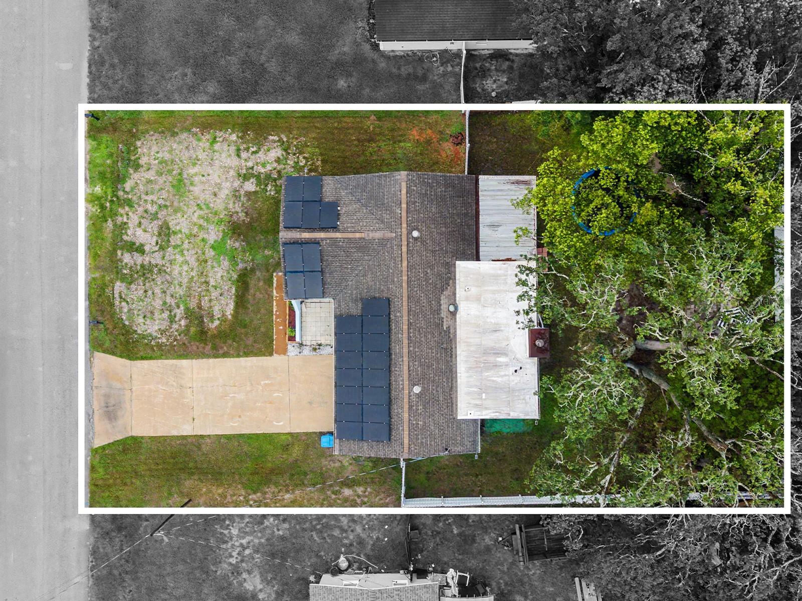 197 Rosedale Avenue, Spring Hill, FL 34606 — photo 3