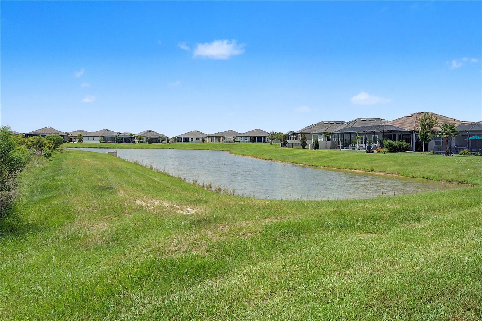 10228 Echo Dock Loop, San Antonio, FL 33576 — photo 2