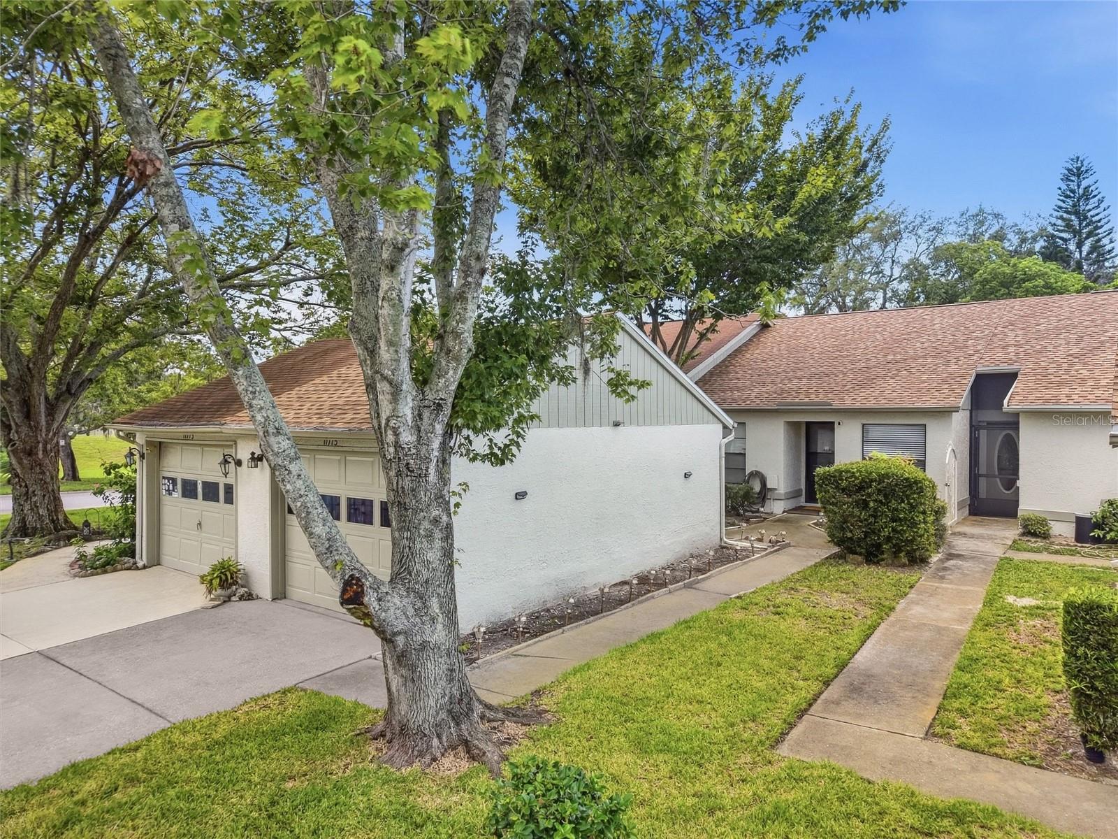 11715 Spring Tree Lane, Port Richey, FL 34668 — photo 2