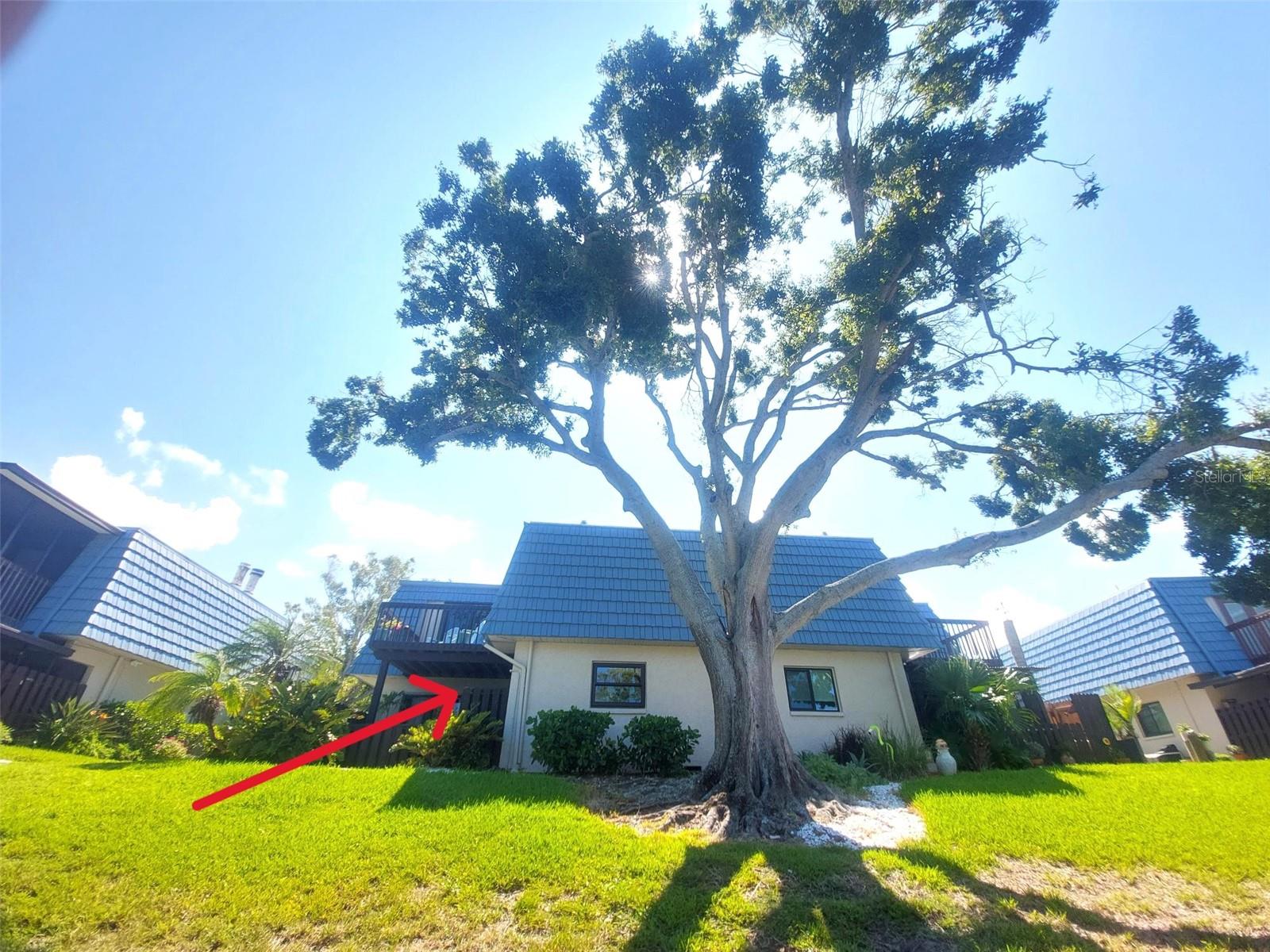 9446 Tradewinds Ave — photo