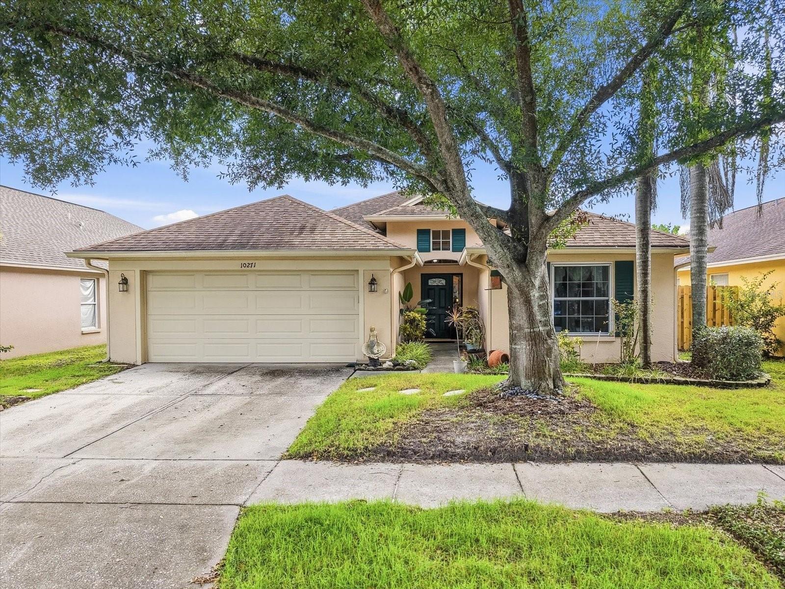 10271 Oasis Palm Dr — photo