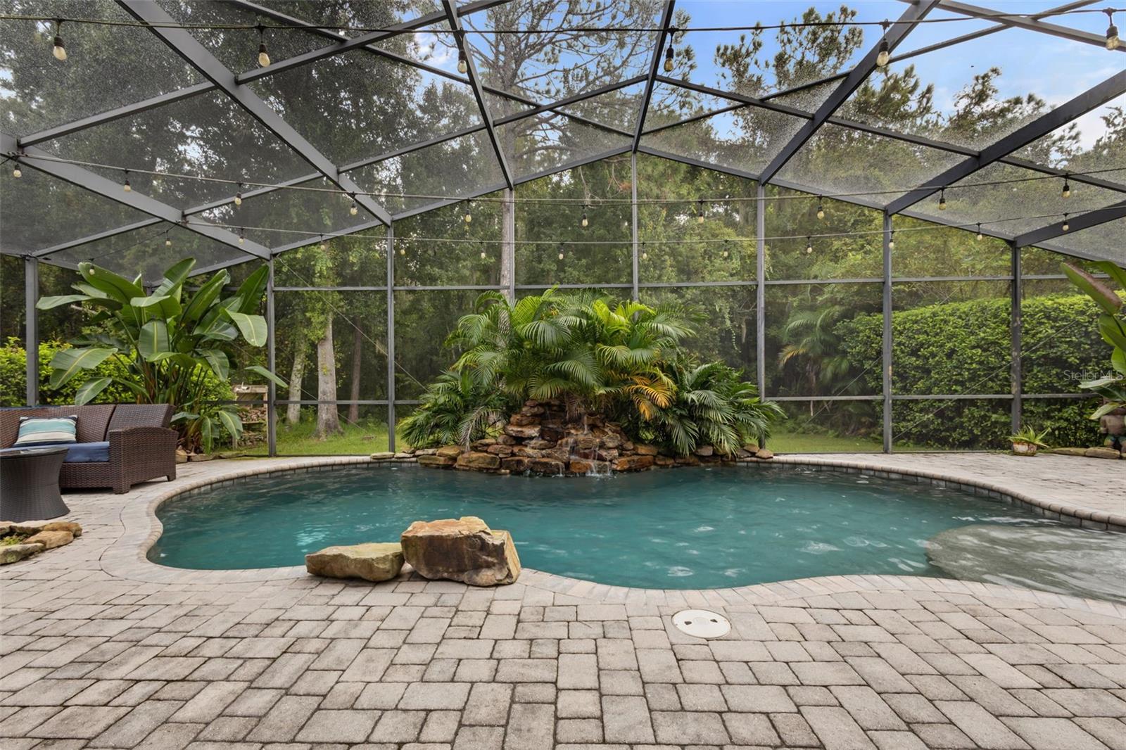 7729 Arelli Drive, Trinity, FL 34655 — photo 3