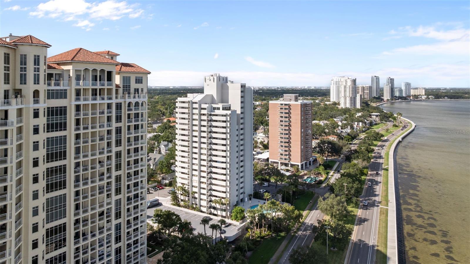4141 Bayshore Blvd #1502 — photo