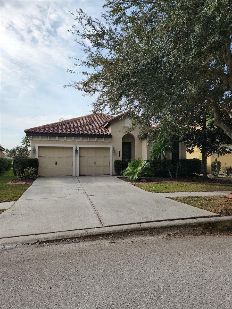 20311 Chestnut Grove Dr — photo