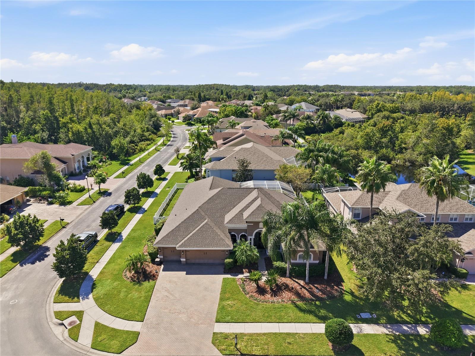 3905 Sorrel Vine Dr — photo