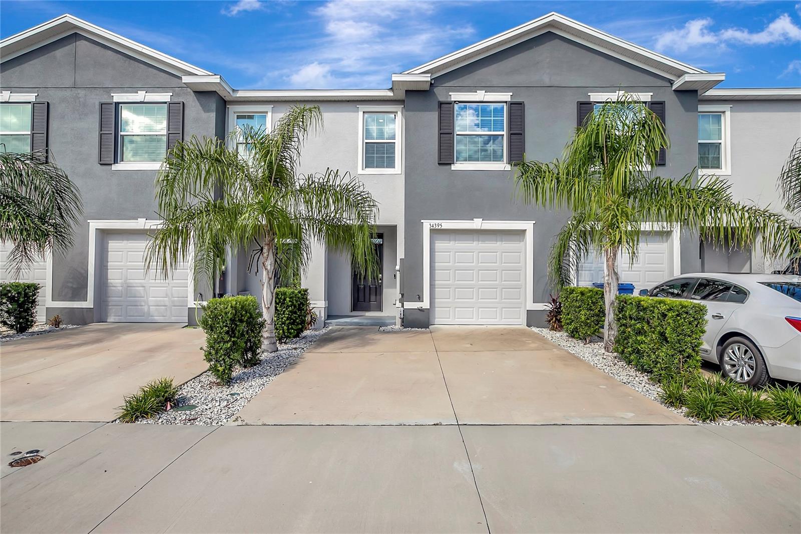 34395 Sorrel Mint Dr — photo