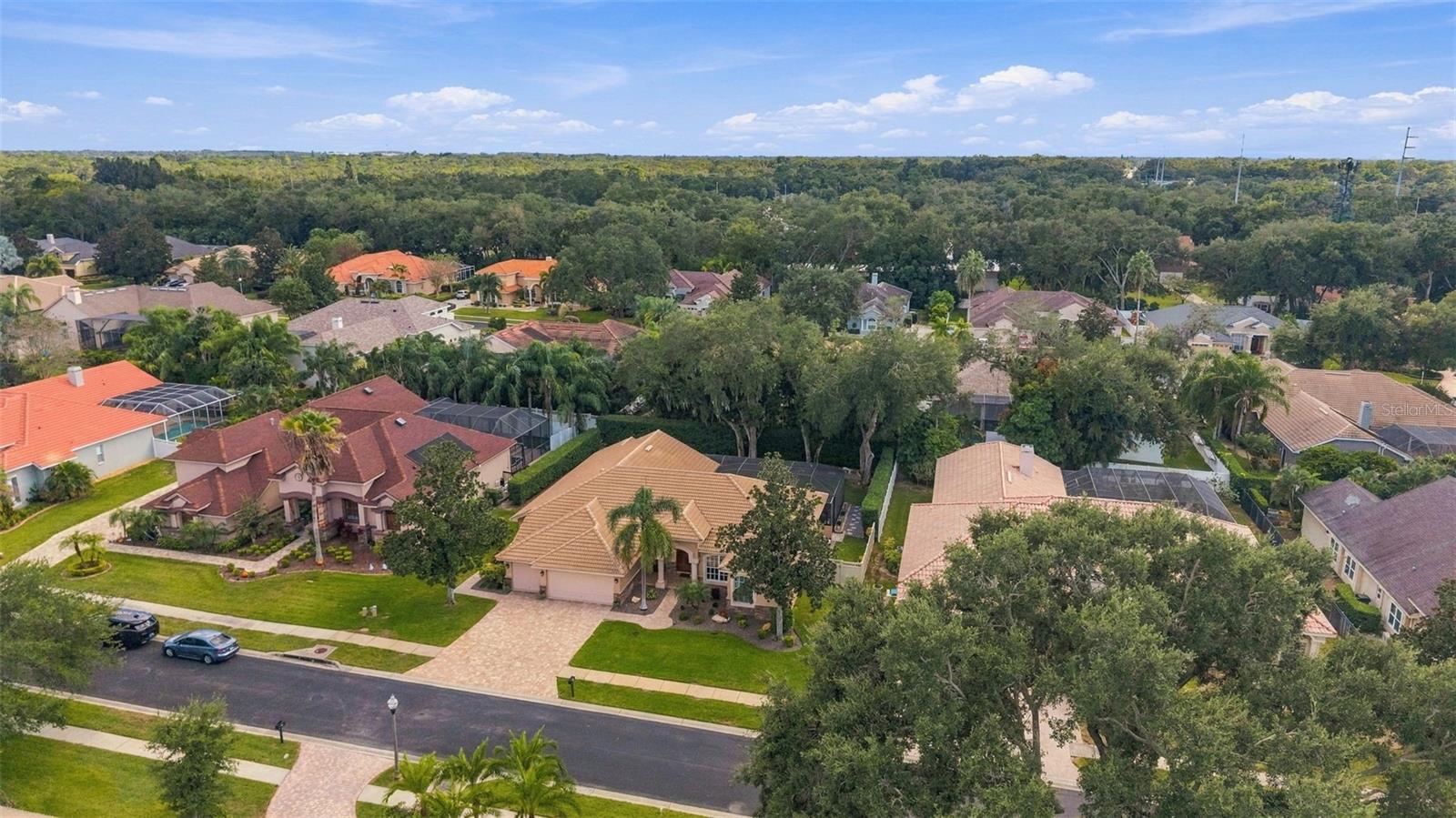 1663 Canopy Oaks Boulevard, Palm Harbor, FL 34683 — photo 2