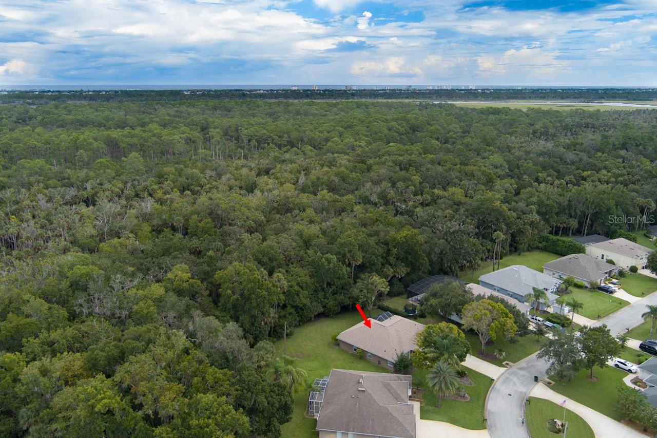19 Waterbluff Drive, Ormond Beach, FL 32174 — photo 2