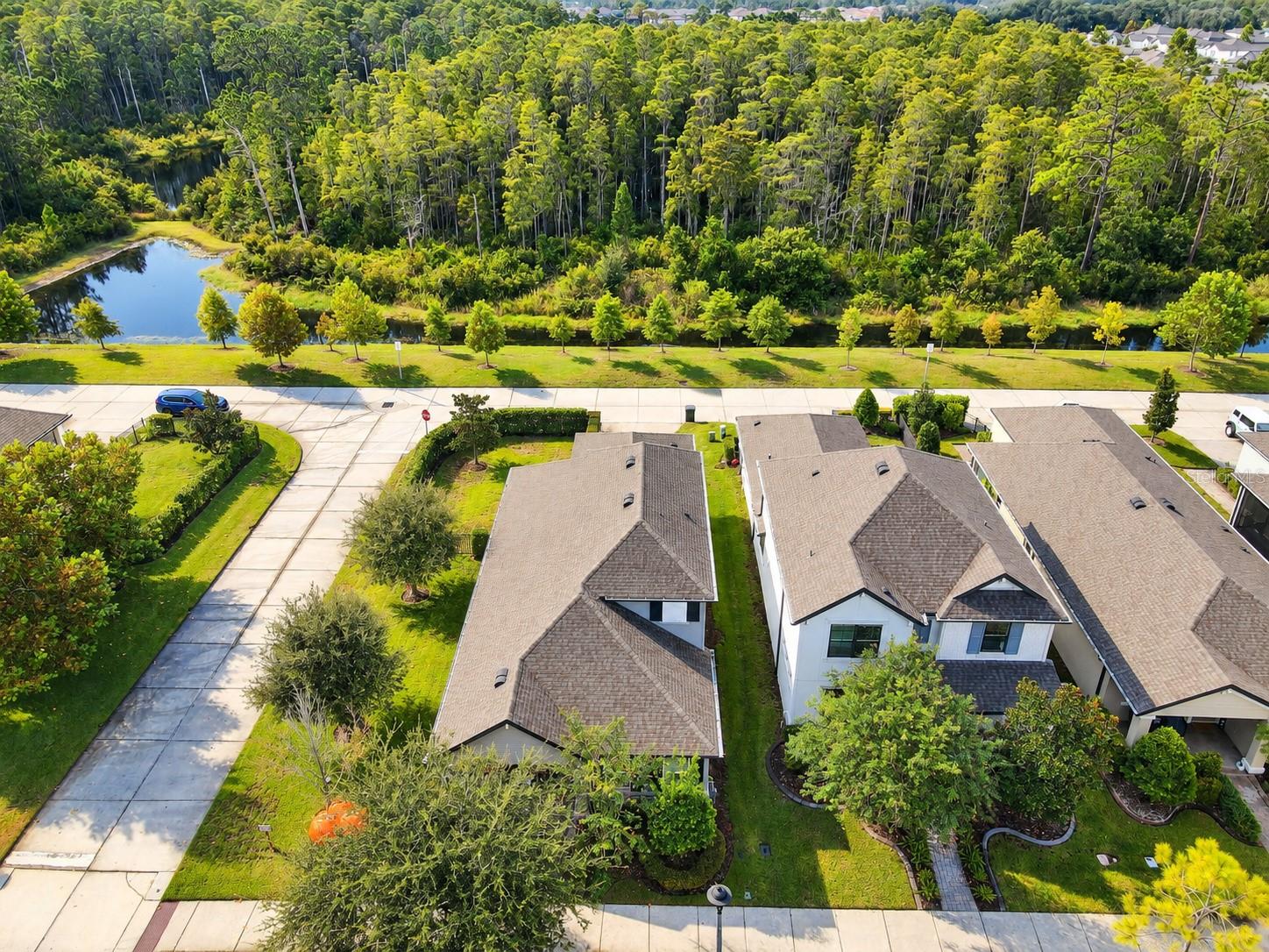 3871 Night Star Trail, Odessa, FL 33556 | Realty.com