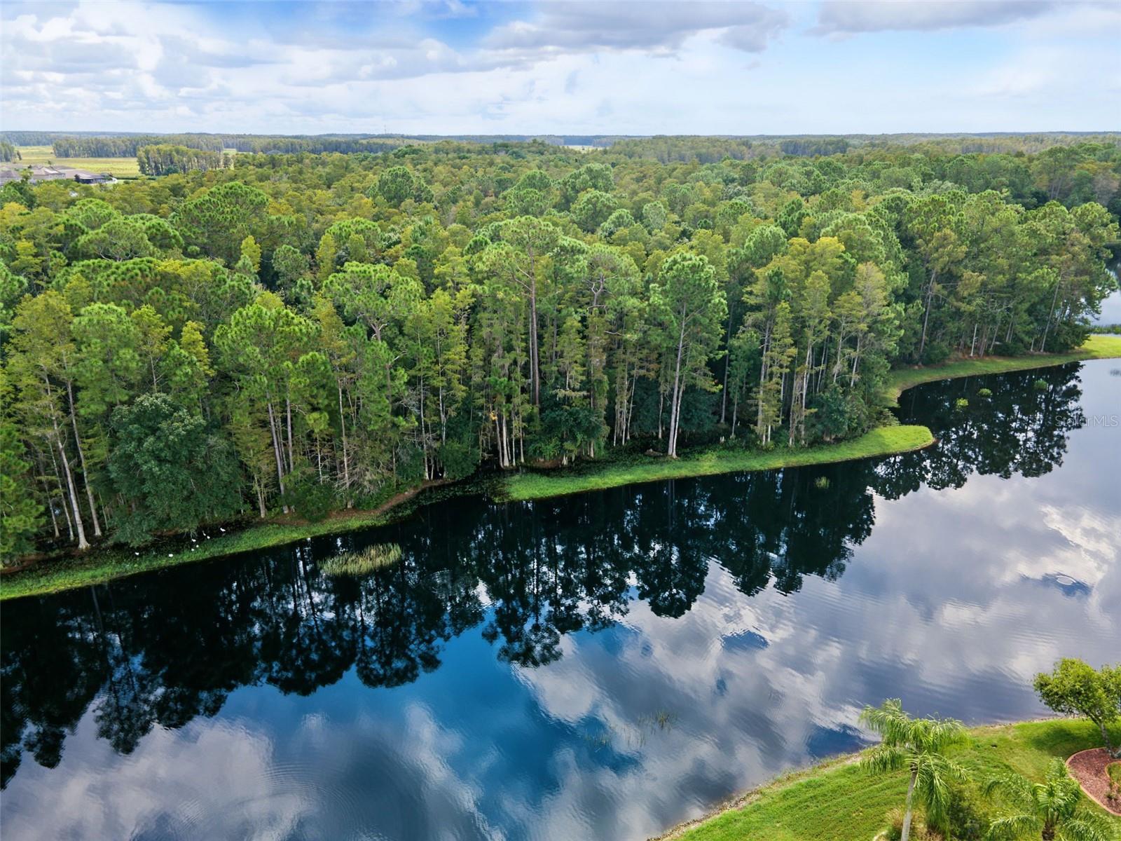 1300 Trimaran Place, Trinity, FL 34655 — photo 3