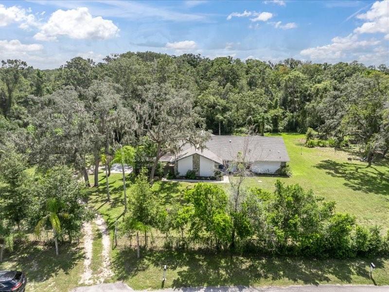 11211 Pine Forest Dr — photo