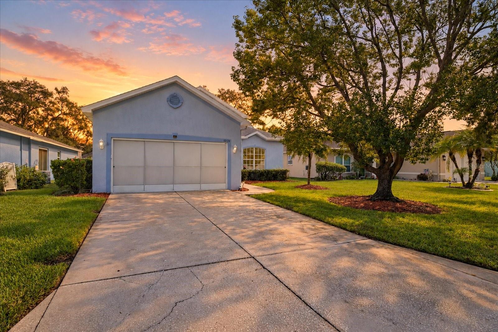 12128 Loblolly Pine Dr — photo