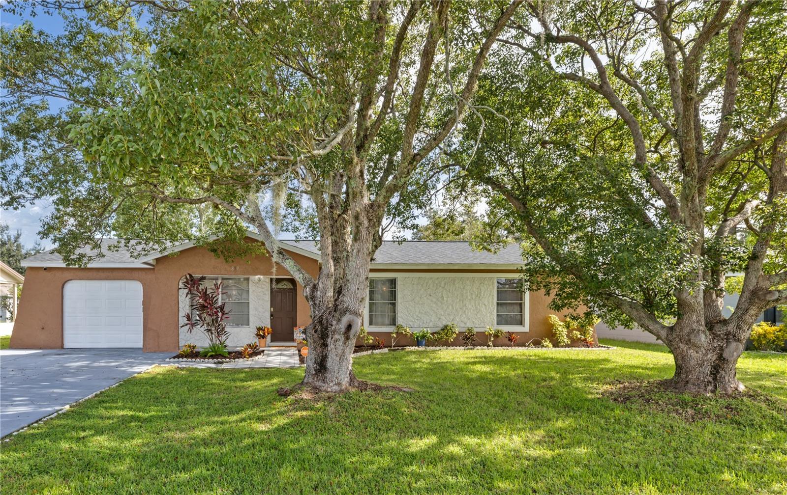 819 Nelson Drive — photo
