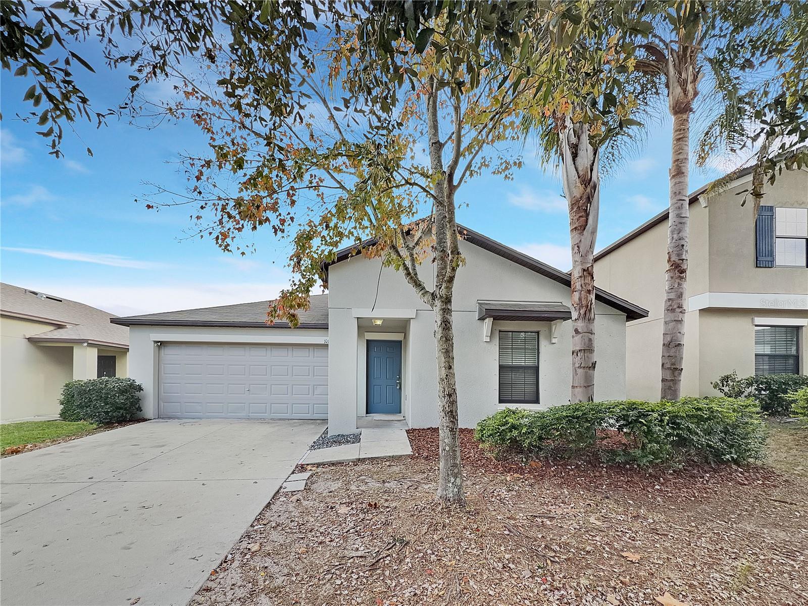 10113 Rosemary Leaf Lane — photo