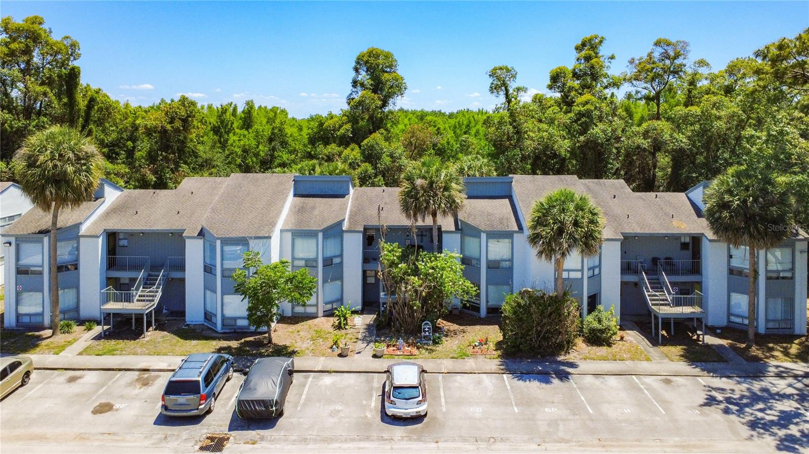 2636 Lemon Tree Lane — photo
