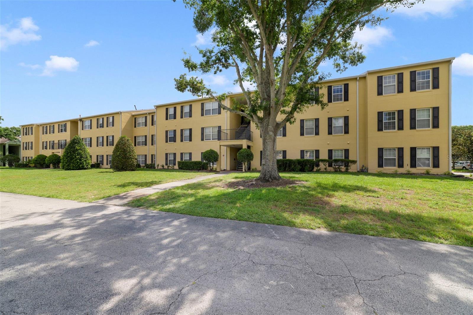 2019 Dixie Belle Drive G — photo