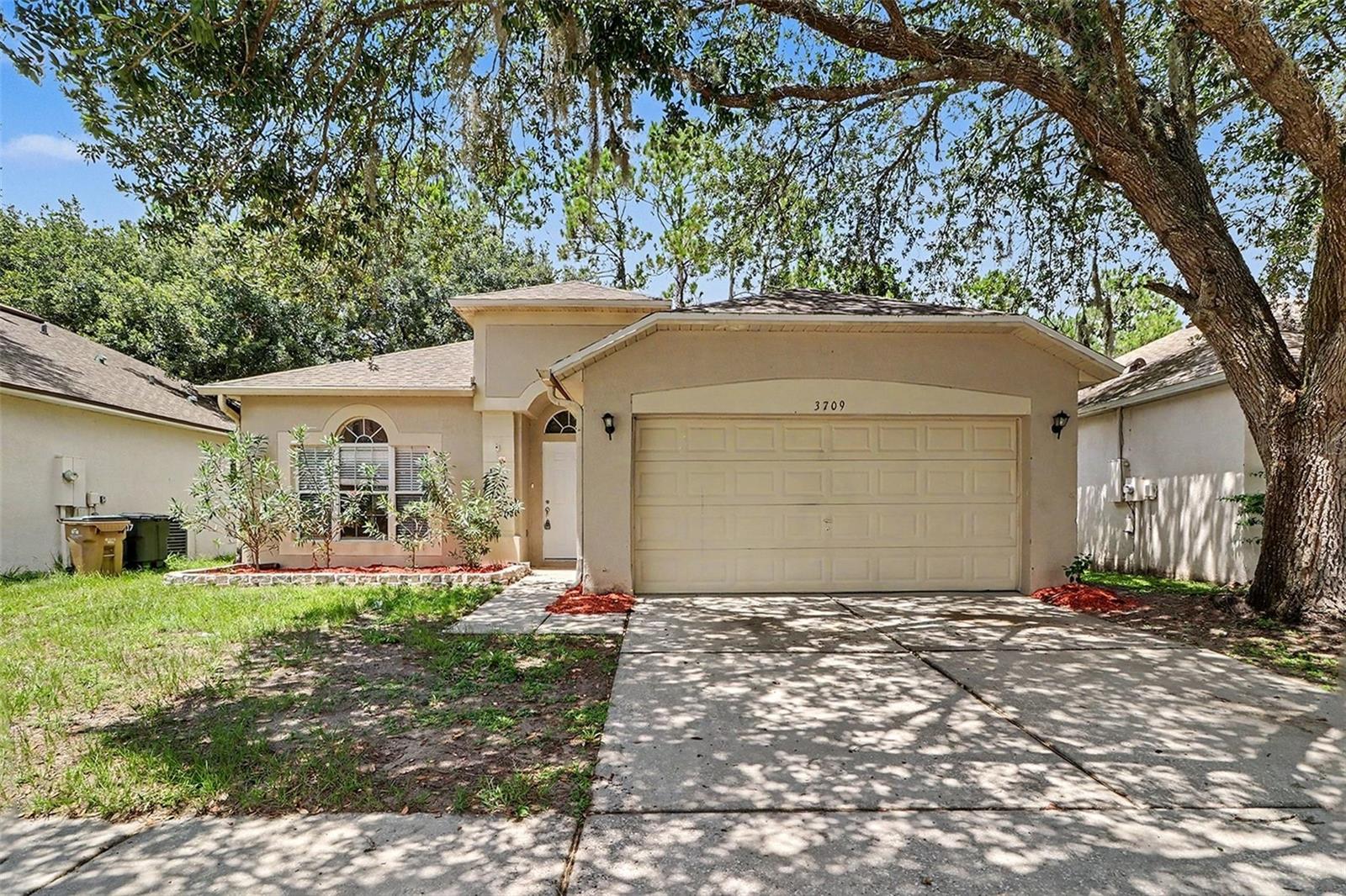 3709 Cinnamon Fern Loop — photo