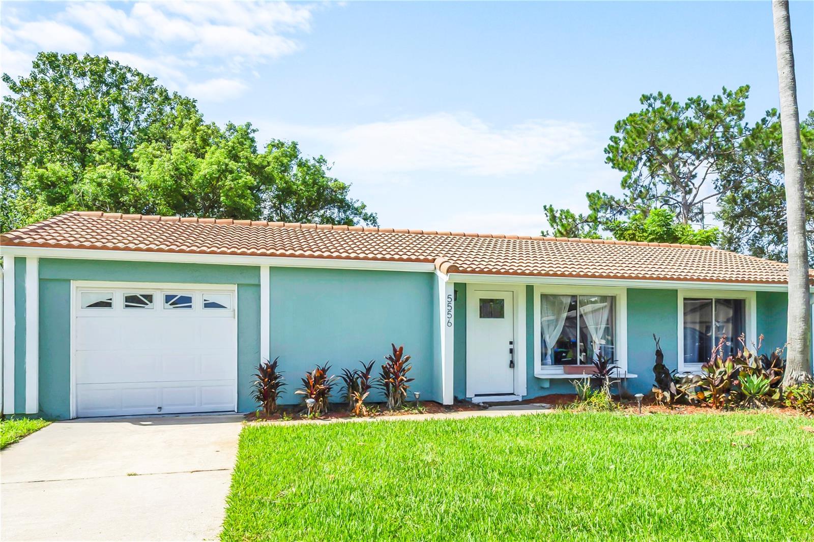 5556 Memorial Drive — photo